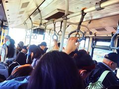 -上海浦东国际机场-T2航站楼