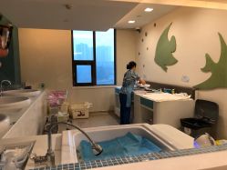 -重庆安琪儿妇产医院-妇幼保健联盟医院