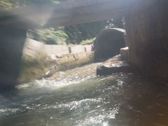 -将军关探险漂流