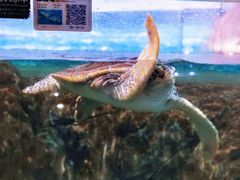 -福州罗源湾海洋世界旅游区