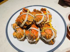 -杨氏青龙虾·羊蝎子(托乐嘉店)