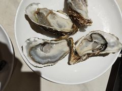 -蚝歌(中山七路店)
