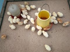 -兴芮温泉度假区