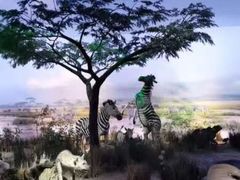 -天津自然博物馆