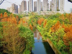 -重庆彩云湖湿地公园