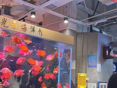 -朱光玉火锅馆(正弘城店)