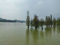 -星湖旅游景区七星岩