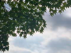 -BHC炸鸡(明洞总店)