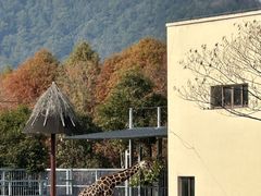 -苏州上方山国家森林公园