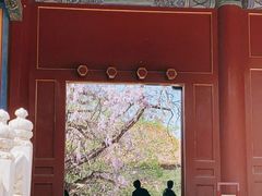 -北京国子监胡同