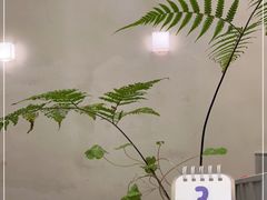 -小团圆糖水铺(襄阳南路店)