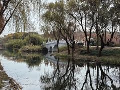 -虎丘湿地公园