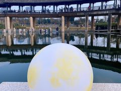 -眉山湿地公园(东坡区)