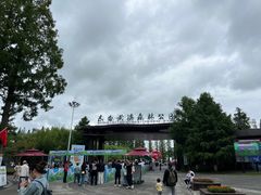 -黄海国家森林公园