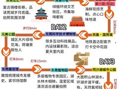 -东莞市大岭山森林公园