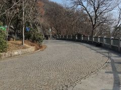 -紫金山山顶公园