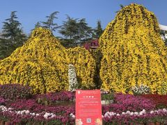 -上海大学(宝山校区)