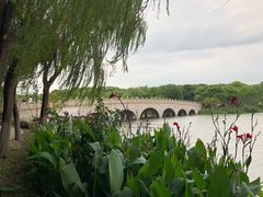 -昆山城市生态森林公园