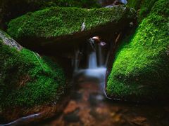 -五女峰国家森林公园