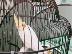-合肥蜀山万象汇