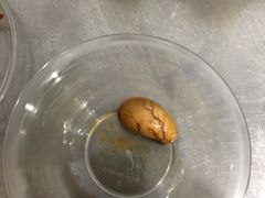 -向民炒鸡老店(火车站店)