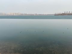 -丁香湖公园