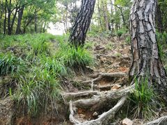 -青龙山国家森林公园