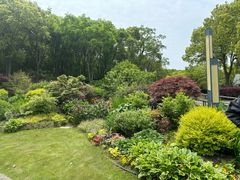 -上海吴淞炮台湾国家湿地公园