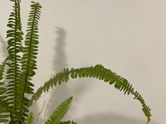 -大富贵烧烤公司(双廊店)