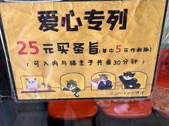 -猫咪博物馆(顶澳仔猫街店)