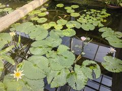 -国家植物园南园