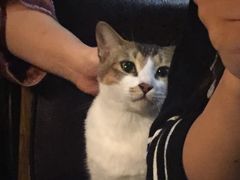 -爵士花园音乐酒吧餐厅
