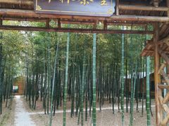 -龙寺生态园