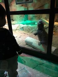 -酷嗒动物文化乐园(cutezoo西溪乐天城店)