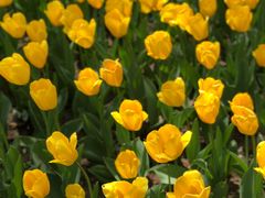 -长春公园(普阳街道)