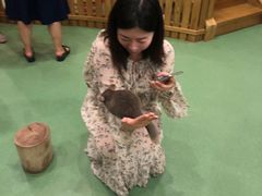 -藦茜花园宠物主题亲子互动体验馆(国顺东路店)