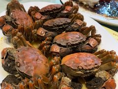 -海儀美食楼(湾仔海鲜街店)