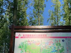 -东平国家森林公园