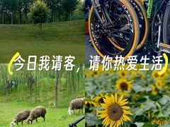 -南海子公园