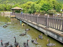 -无锡动物园·太湖欢乐园