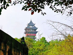 -塔子山公园