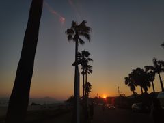 -椰风寨
