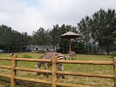 -大连森林动物园