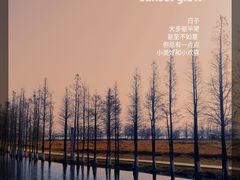 -瑶湖郊野森林公园