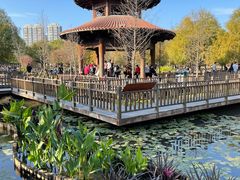 -五缘湾湿地公园