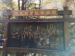 -望天鹅景区