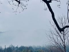 -塔川景区