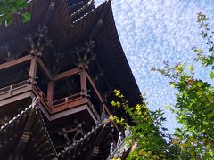 -杭州半山国家森林公园