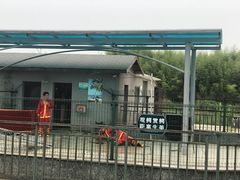-中国扬子鳄村