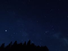 -武陵山森林公园
